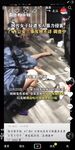 【極品稀缺 性愛泄密大禮包12】百位網紅良家母狗性愛甄選