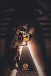 出山就封神！推特超強SM大神【奴印文化】五位御用極品反差女奴推特勁爆調教原版無水印蝶小蝶-Ancheng
