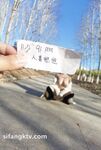 蜂腰肥臀尤物反差婊~極品吊鍾巨乳人妻想想私拍視圖戶外野戰人前露出調教啪啪呻吟好聽直叫爸爸